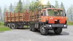 Tatra T815〡adass propre cargaison pour Spin Tires