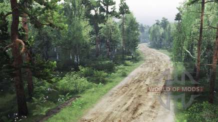 Forêt effrayante pour Spin Tires