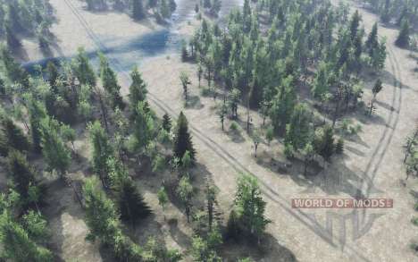 Labyrinthe russe pour Spin Tires