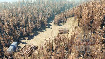 Forêt de cendres pour Spin Tires