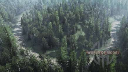 Les promenades sur des camions à benne basculante pour MudRunner