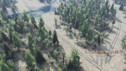 Labyrinthe russe pour Spin Tires