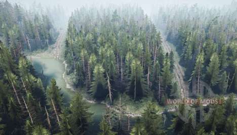 Forêt de pins 2 pour Spintires MudRunner