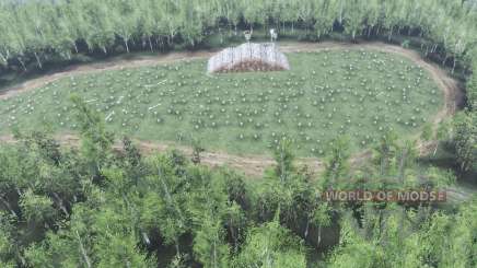 Forêt de bouleaux pour Spin Tires