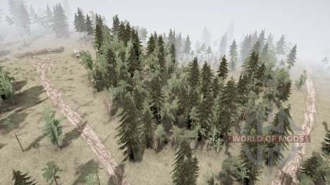 Forest 2.0 für Spintires MudRunner