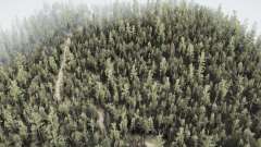 Forêt nationale de Sirgotcha pour MudRunner