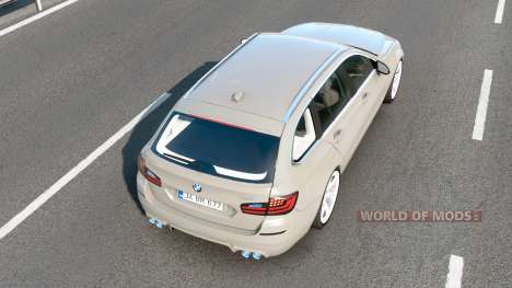 BMW M5 Touring Concept Style (F11) Bison Hide für Euro Truck Simulator 2