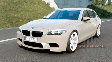 BMW M5 Touring Concept Style (F11) Bison Hide für Euro Truck Simulator 2